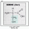 ������ ������� ����� Serine, Ser