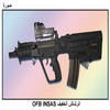 ������ ������ OFB INSAS