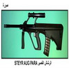 ������ ������ STEYR AUG Para